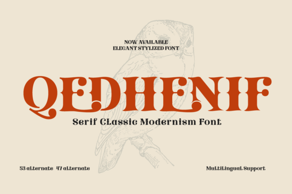 Upgrade Your Brand Look with the Qedhenif Display Typeface